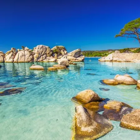 T2 à Porto-vecchio * Porto-Vecchio (Corsica)